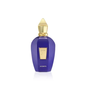 vibe accento xerjoff perfume
